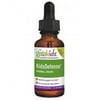 Gaia Herbs - KidsDefense Herbal Drops 2 fl oz 90758002 Exp.2.19+ ASD