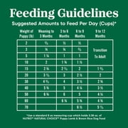 Nutro Natural Choice Puppy Food Dry Recipe Lamb & Brown Rice, 4.5 Lb Bag