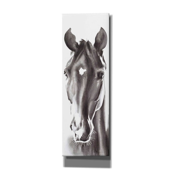 Epic Graffiti 'Le Cheval Noir Horse Panel' by Alan Majchrowicz, Giclee Canvas Wall Art, 12"x36"
