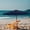 D, variant on Coollooc Solid Wooden Outdoor Patio Umbrella for Market Garden Yard Beach for Sand Deck Cafe Bistro Table Poolside Wedding Party Hotel Sunshade(A,G)