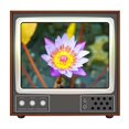 thumbnail image 3 of Kenally Lupa de pantalla de TV retro Amplificador de pantalla de teléfono 3D Imagen de video ampliada desde teléfono móvil Compatible con todos los lupas Kenally TO003054-00, 3 of 6