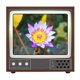 thumbnail image 1 of Speravity Lupa de pantalla de TV retro Amplificador de pantalla de teléfono 3D Imagen de video ampliada desde teléfono móvil Compatible con todos los lupas Speravity TO003054-00, 1 of 1