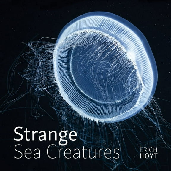 Strange Sea Creatures, (Paperback)
