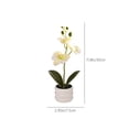 thumbnail image 3 of Planta artificial de orquídea falsa Phalaenopsis realista con maceta lastrada - Flor de seda realista para decoración de boda en la oficina en casa, 3 of 9