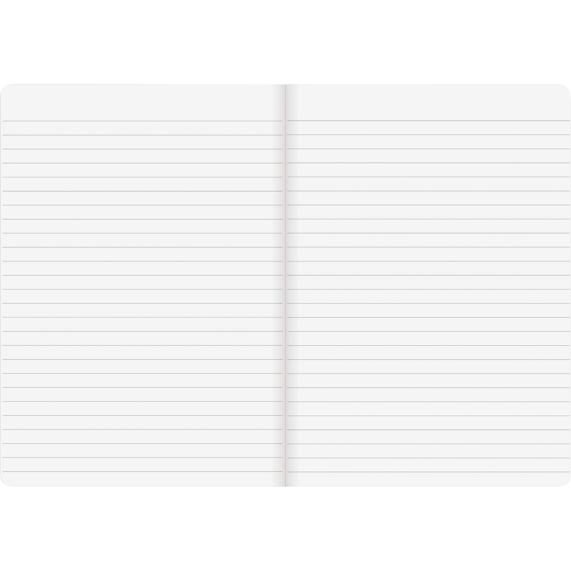 Rediform, REDA85, Blueline 5 Notebooks Pack, 5 / Pack