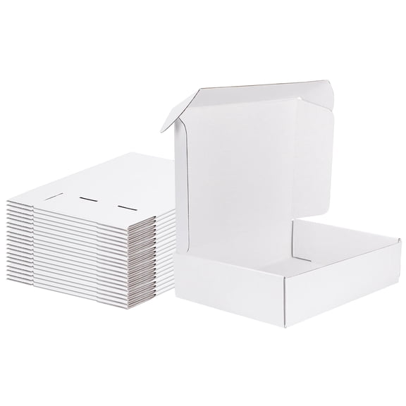 12x9x3 Shipping Boxes Set of 20, White Corrugated Cardboard Box for Packing, Mailing, Business