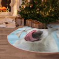 thumbnail image 6 of Daiia Puppy Licks Nose Drawing Merry Christmas Tree Skirt , Xmas Large Lace-up Tree Skirt, Santa Snowflakes Rustic Home Decorations New Year Party Farmhouse Decor-48", 6 of 7