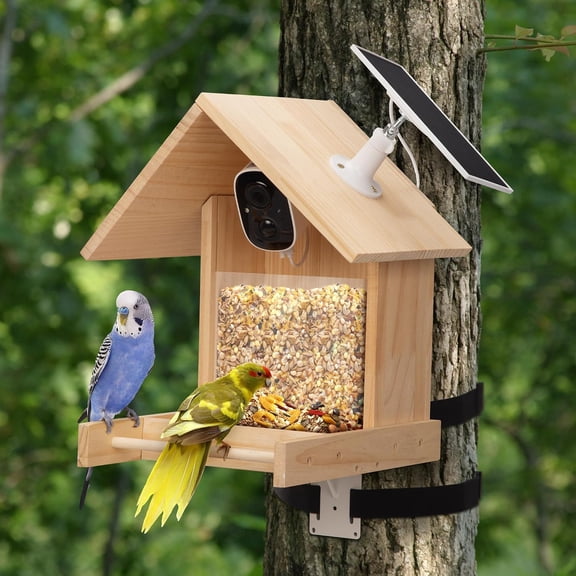 GlowPlume Smart Bird Feeder with Camera,Birds Watching Camera with AI Identification Squirrel Alarm,2K HD Auto Capture Videos&Instant Arrival Alerts,Birdhouse Birdfeeder for Bird-Lovers