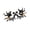 D, variant on Halloween Party Decorations Spider Eyewear Spooky Party Wearing Accessories Novelty Sunglasses for Adults Festival Dressings Gothic Party Favors
