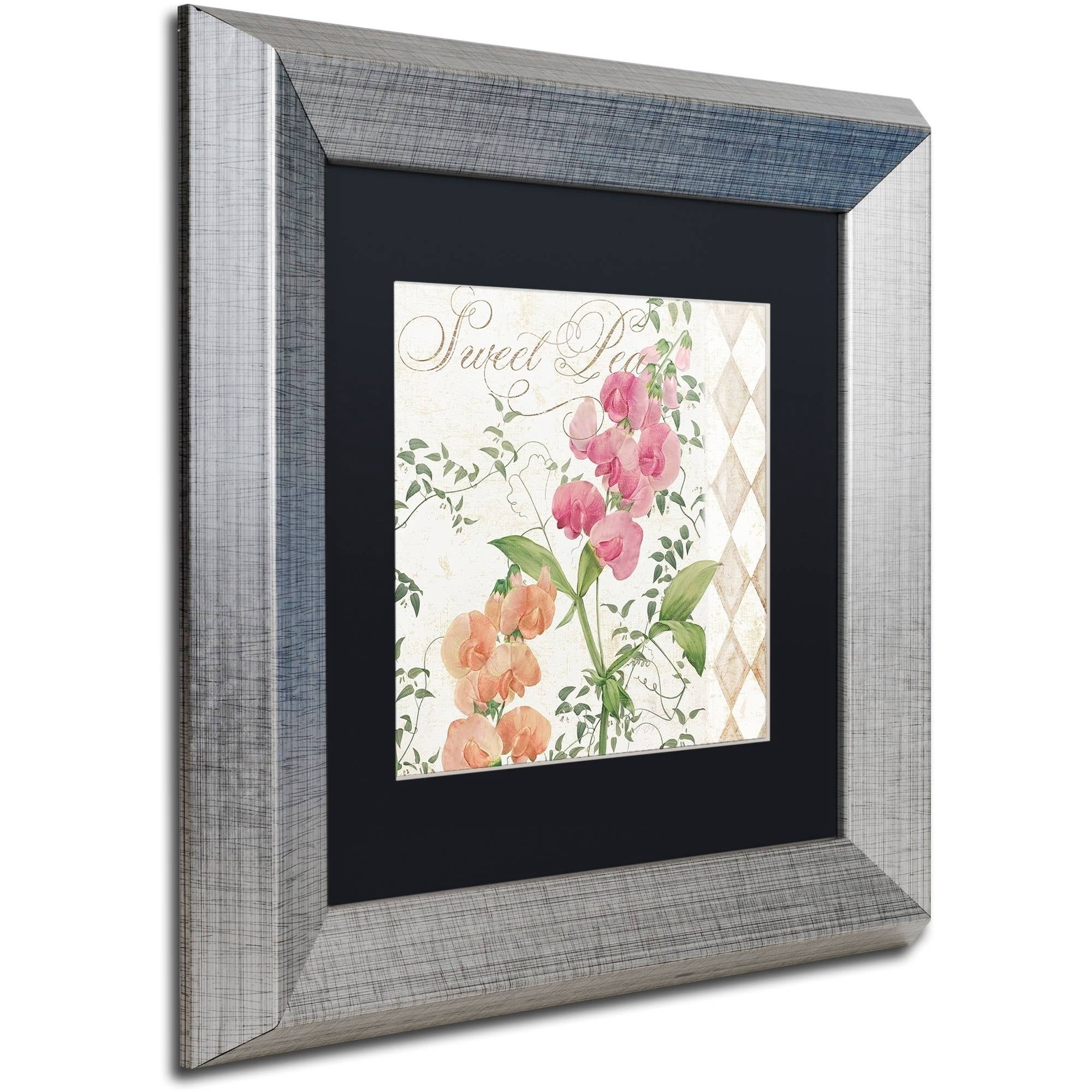 Trademark Fine Art "Sweet Pea" Canvas Art by Color Bakery Black Matte, Silver Frame