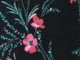 Black Foliage Floral