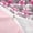 Pink 02, variant on Erosebridal Marine Shark Twin Bedding for Kids, Blue Octopus Coral Duvet Cover Set, 2 Pieces, No Comforter