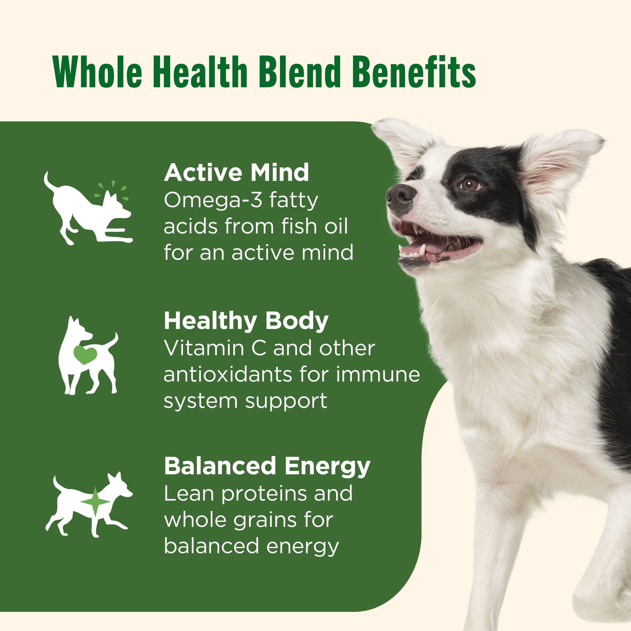 Nutrish Real Chicken & Veggies Recipe Whole Health Blend Dry Dog Food, 6 lb. Bag (Rachael Ray)