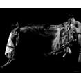 thumbnail image 2 of Chapman, Julie T. 14x12 Gold Ornate Wood Framed with Double Matting Museum Art Print Titled - Baldfaced Bulldogger, 2 of 4