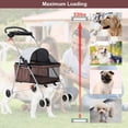 thumbnail image 6 of Bestpet Posh Pet Stroller for Cats&Dogs, Leopard Skin, 4 Wheels, 6 of 7