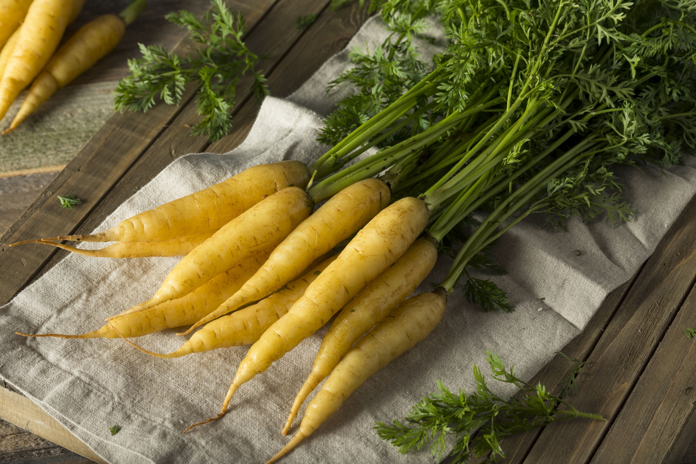 SEEDS =100 Seeds Solar Yellow Carrot heirloom vegetable From