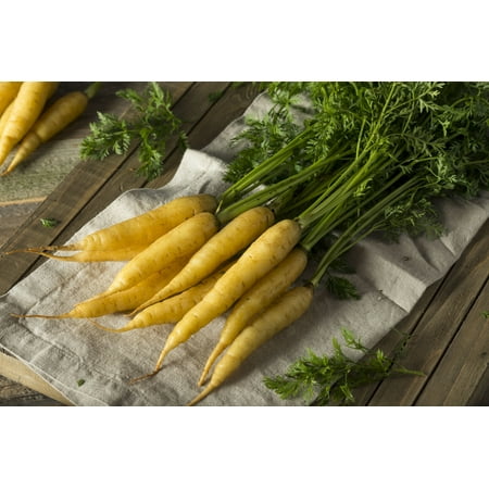 SEEDS =100 Seeds -Solar Yellow Carrot heirloom vegetable From Serendipity Seeds