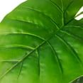 thumbnail image 6 of Northlight Potted Wide Taro Leaf Artificial Greenery Floor Plant - 47", 6 of 8