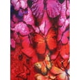 thumbnail image 4 of Camiseta Talla Extra Hombro Descubierto Estampado Mariposa Rosegal  Camisetas tallas grandes, 4 of 5