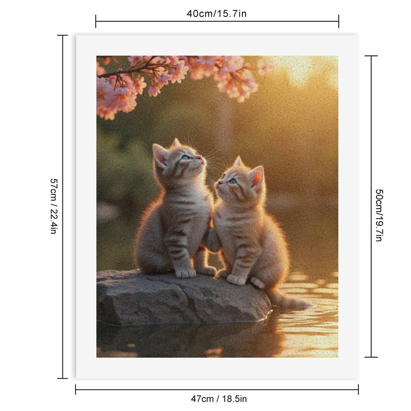 Paint by Numbers Kit for Adults, Kittens Blossom Sunset Rock Paint by Numbers, Easy Paint by Numbers Kit for Adults Beginner, DIY Adult Paint by Number Kits on Canvas, Home Decor