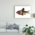 thumbnail image 3 of Trademark Fine Art 'Rainbow Fish IV' Canvas Art by Emma Scarvey, 3 of 4