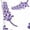 White, variant on Honeii Lavender Flowers Print Adult Socks,Crew Socks,Casual Calf Socks,Daily Wear Socks for Men & Women, Perfect for Sports, Casual and Everyday Use