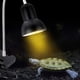 thumbnail image 3 of Lámpara de calor de tortuga para acuario, punto de calentamiento de reptiles con soporte con clip giratorio de 360° y fuente de alimentación para reptiles, lagartos, acuario de serpientes tortuga, 3 of 8