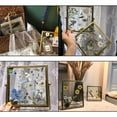 thumbnail image 2 of Muestras de plantas secas Macarena 25 piezas Flores secas prensadas naturales, 2 of 6