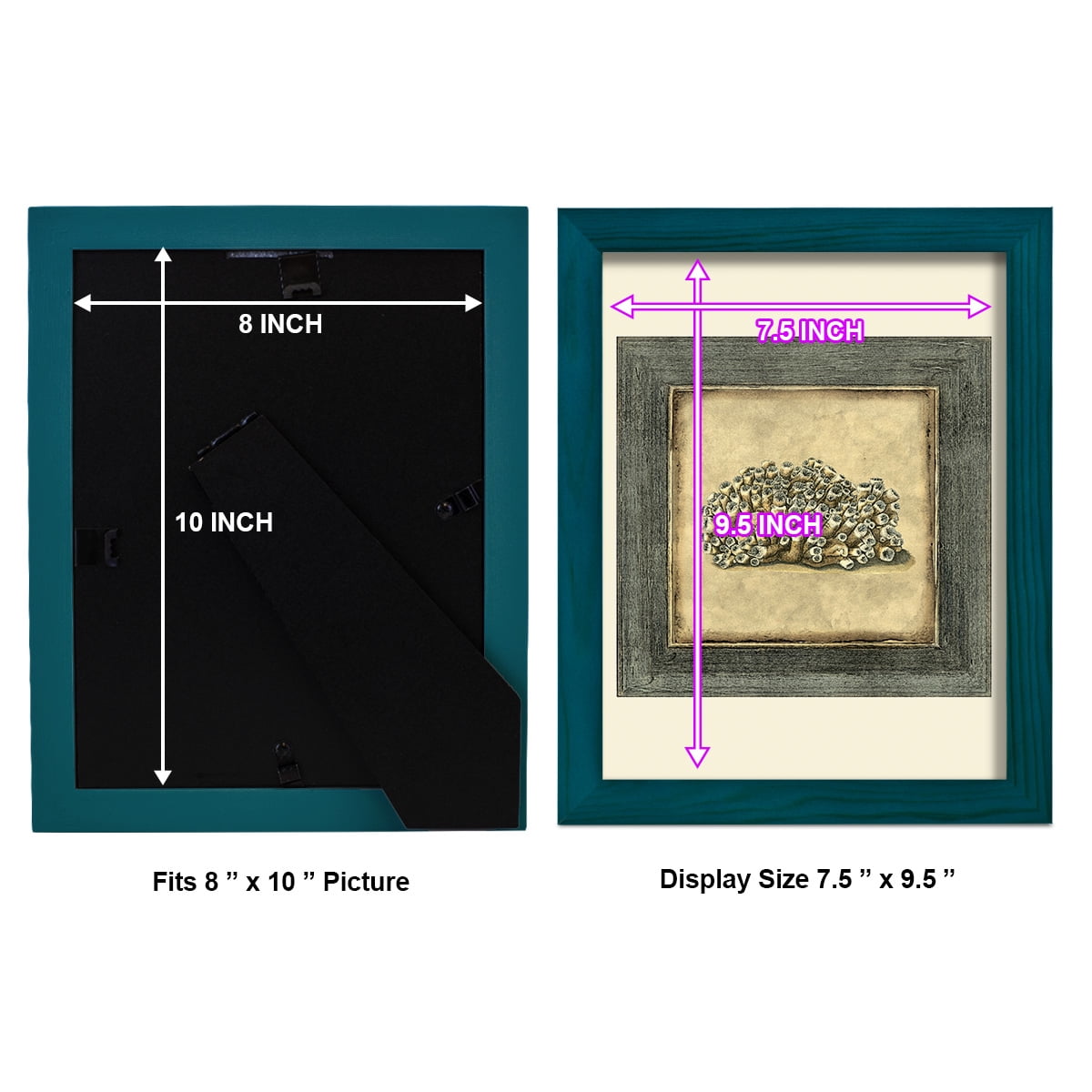 Mini Exotic Coral I (U) - Framed Print w/glass - Ocean Blue