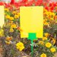 thumbnail image 4 of 30 etiquetas de plástico para semillas de plantas y flores de jardín., 4 of 5
