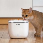 Automatic Cat water fountain