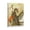 Frame-style, variant on Yumihiko Amano Painting Japan Artist Poster Canvas Poster Wall Art Picture Prints Hanging Photo Gift Decor Home Posters Artworks 16x24inch(40x60cm)