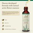 thumbnail image 2 of Bach Flower Essences NELSON RESCUE REMEDY Agrimony 20 ml, 2 of 6