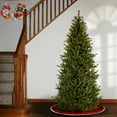 thumbnail image 2 of National Tree Company Artificial Slim Christmas Tree, Green, Natural Fraser Fir, Includes Stand, 7.5 Feet, 2 of 4
