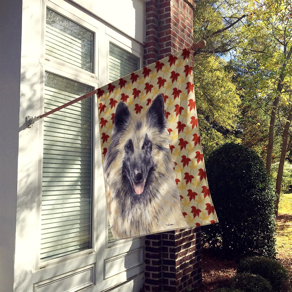 Carolines Treasures SC9233-FLAG-PARENT Belgian Tervuren Fall Leaves Portrait Flag  multicolor
