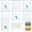 8, variant on 8 count Packing Cubes for Travel, Days of The Week Suitcase Organizers with Weekly Stickers, Summer Camp Essentials