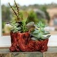 thumbnail image 6 of Ceramic Wood Plant Pot | Indoor Planter for Succulents & Flowers (Redwood Boot), 6 of 6