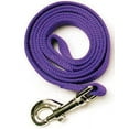 thumbnail image 2 of Leather Brothers Nylon Dog Leash 6ft x 5/8in Purpl, 2 of 2