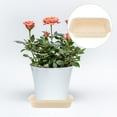 thumbnail image 3 of Dsseng 2pcs Square Shape Plastic Flower Pot Tray Pot Water Tray Multi-functional Household Potted Support Leakproof Potted Base for Home (Beige S), 3 of 5