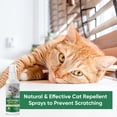 thumbnail image 6 of Cat-Spray-Deterrent, Cat-Repellent-Spray, Effective Cat Scratch Furniture Protector-Stay Away from Restricted Areas-for Pet Behavior Training-Indoor and Outdoor, 6 of 8