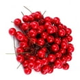 thumbnail image 4 of Baya de acebo artificial Ticfox 100 piezas Rojo, 4 of 14