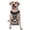 With Accessories, variant on Vsdgher Space White Horse Pattern Dog Harness,No Pull Pet Harness with Soft Padded Handle,Adjustable Reflective Vest with 2 Buckles,4 Slide Buckles,S-XL Large
