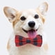 thumbnail image 3 of Desiderio Pet Supplies Collar navideño para mascotas con lazo y collar para perro a cuadros, 3 of 5