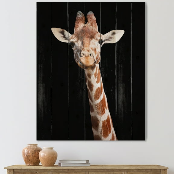 Designart 'Close Up Portrait Of A Giraffe On Black V' Farmhouse Print on Natural Pine Wood