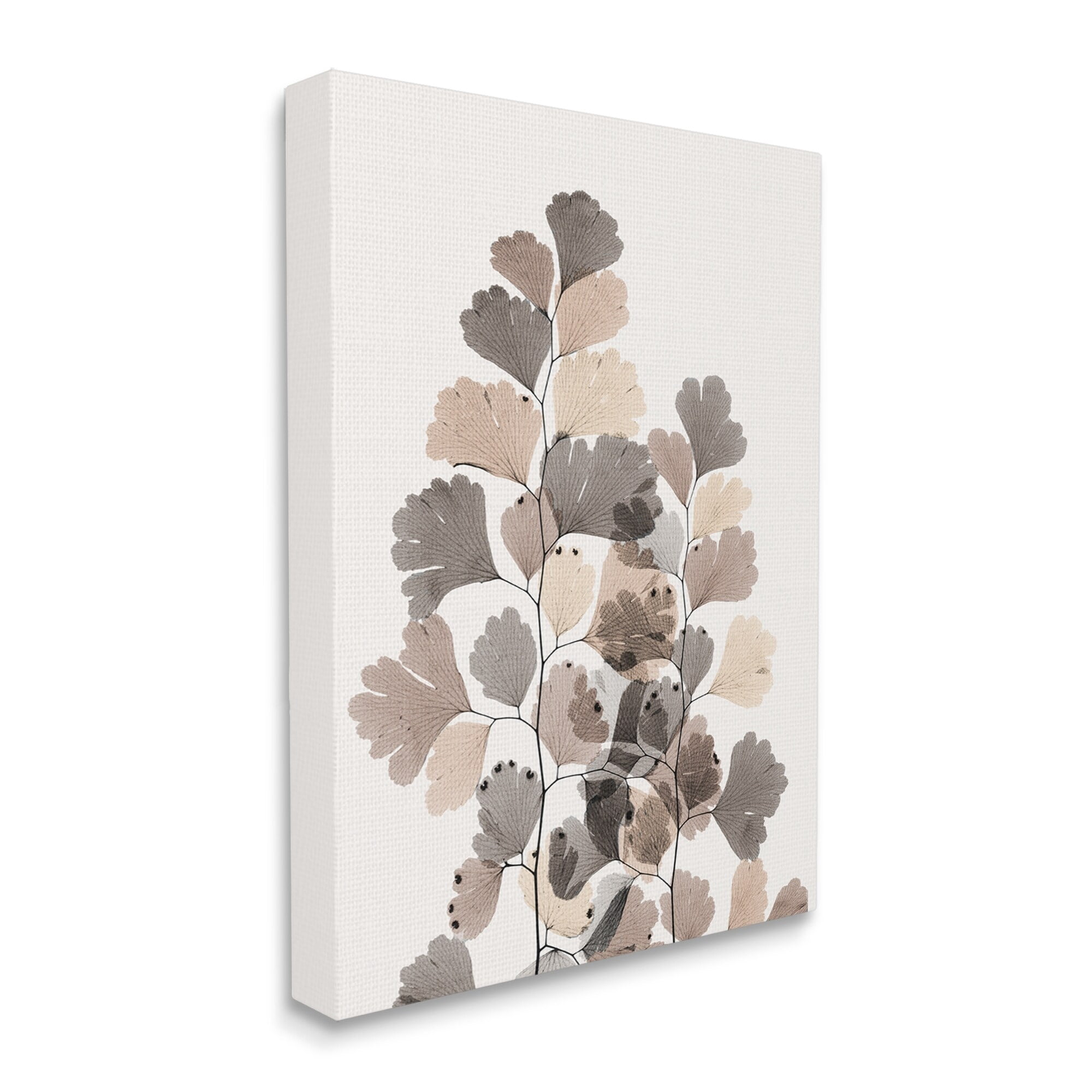 Stupell Industries Modern Ginkgo Leaf Arrangement Translucent Brown Grey Leaves, 30 x 40,Design by Albert Koetsier