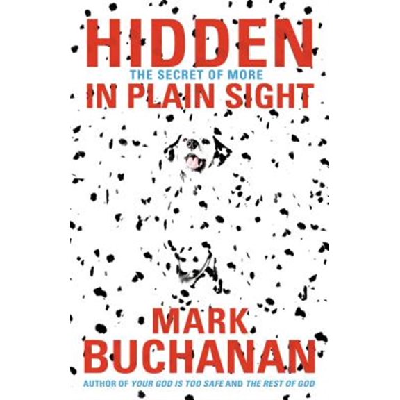 Pre-Owned The Hidden in Plain Sight: The Secret of More (Paperback) 0849964652 9780849964657