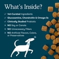 thumbnail image 5 of Fera Pets Dog Multivitamin Chews - With Probiotics, Glucosamine & Omega-3s - 90 Soft Chews, 5 of 11