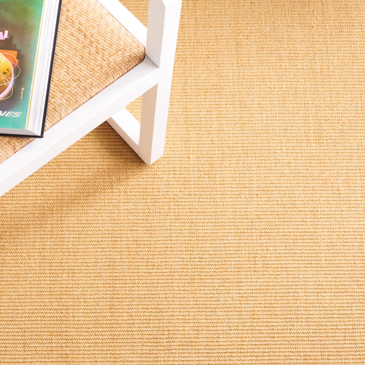 SAFAVIEH Martha Stewart Maximillian Solid Area Rug, Natural/Green, 9' x 12'