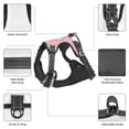 thumbnail image 6 of Lsque Sanrio Dog Harness, No-Pull Pet Harness with 2 Leash Clips, Adjustable Soft Padded Dog Vest with Easy Control Handle for Large Dogs-Medium, 6 of 9