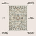 thumbnail image 3 of JONATHAN Y WASHABLE 4 x 6 Area Rug, Shaemus Bohemian Medallion - Cream/Terra, WSH320B-4, 3 of 9